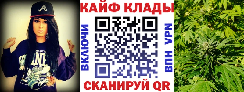 Магазины продажи наркотиков Светлогорск Кокаин Амфетамин ОМГ ОМГ рабочий сайт Меф МАРИХУАНА MDMA