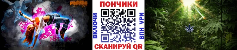 ссылка на мегу ссылки  Светлогорск  Конопля MAZAR 